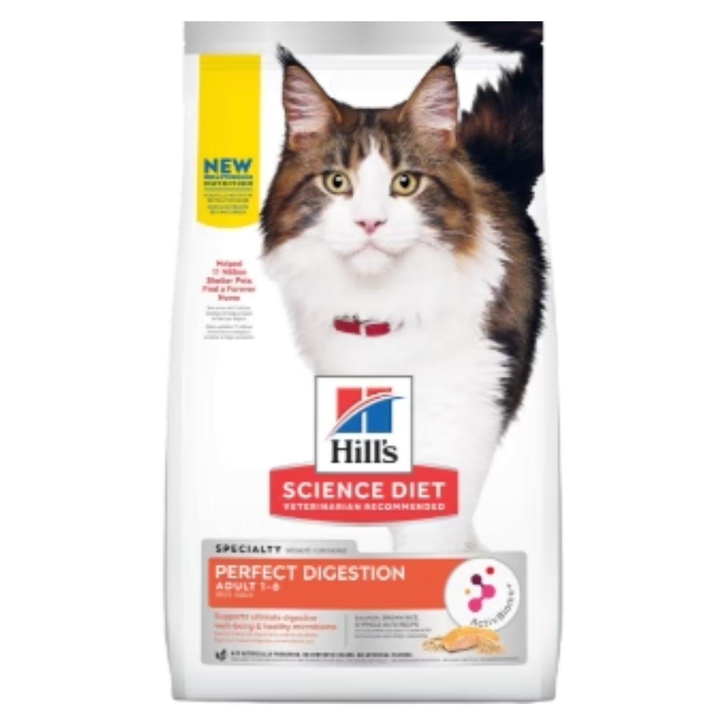 SCIENCE DIET | Nourriture pour chat adulte - Digestion parfaite / Saumon
