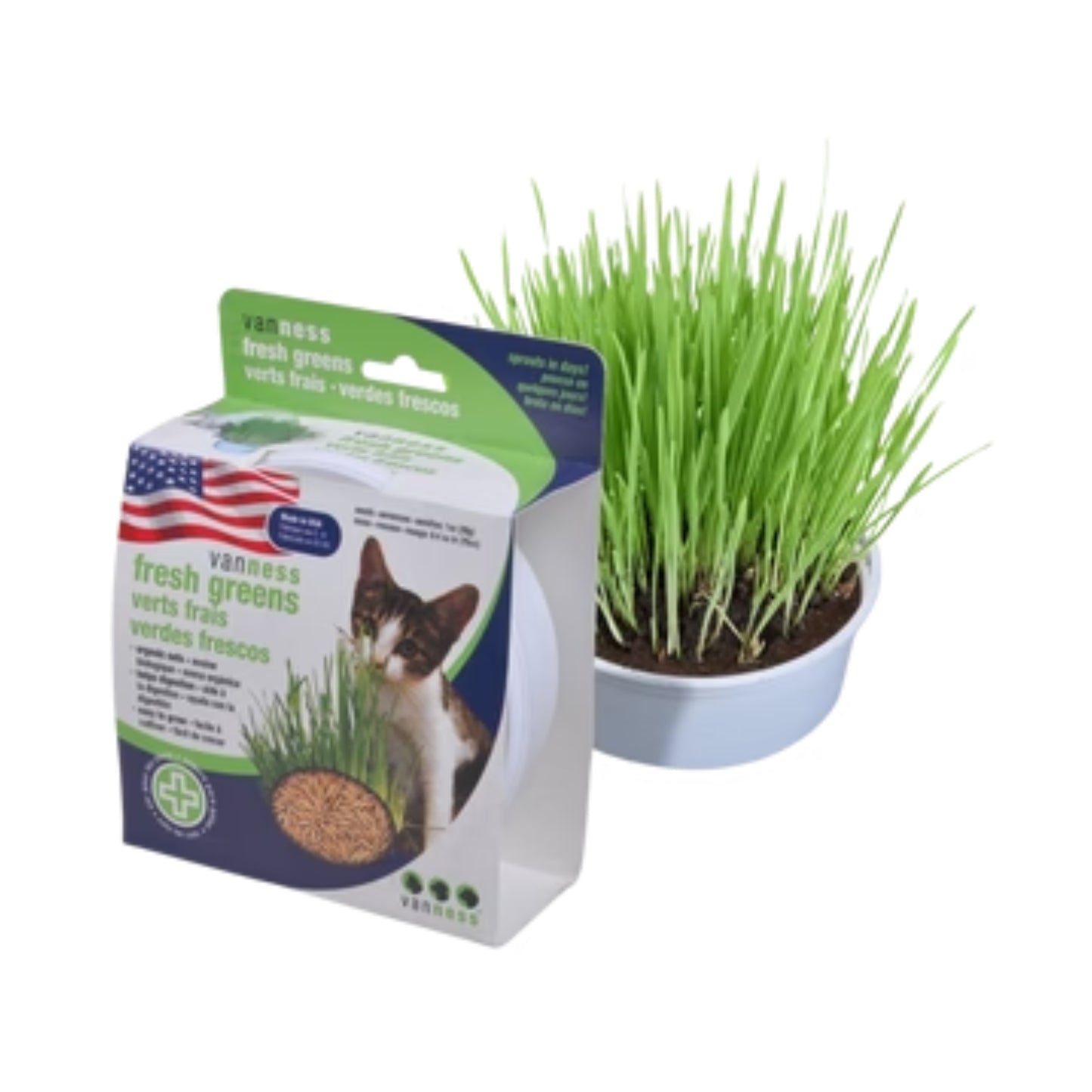 Herbes fraîches pour chat - avoine