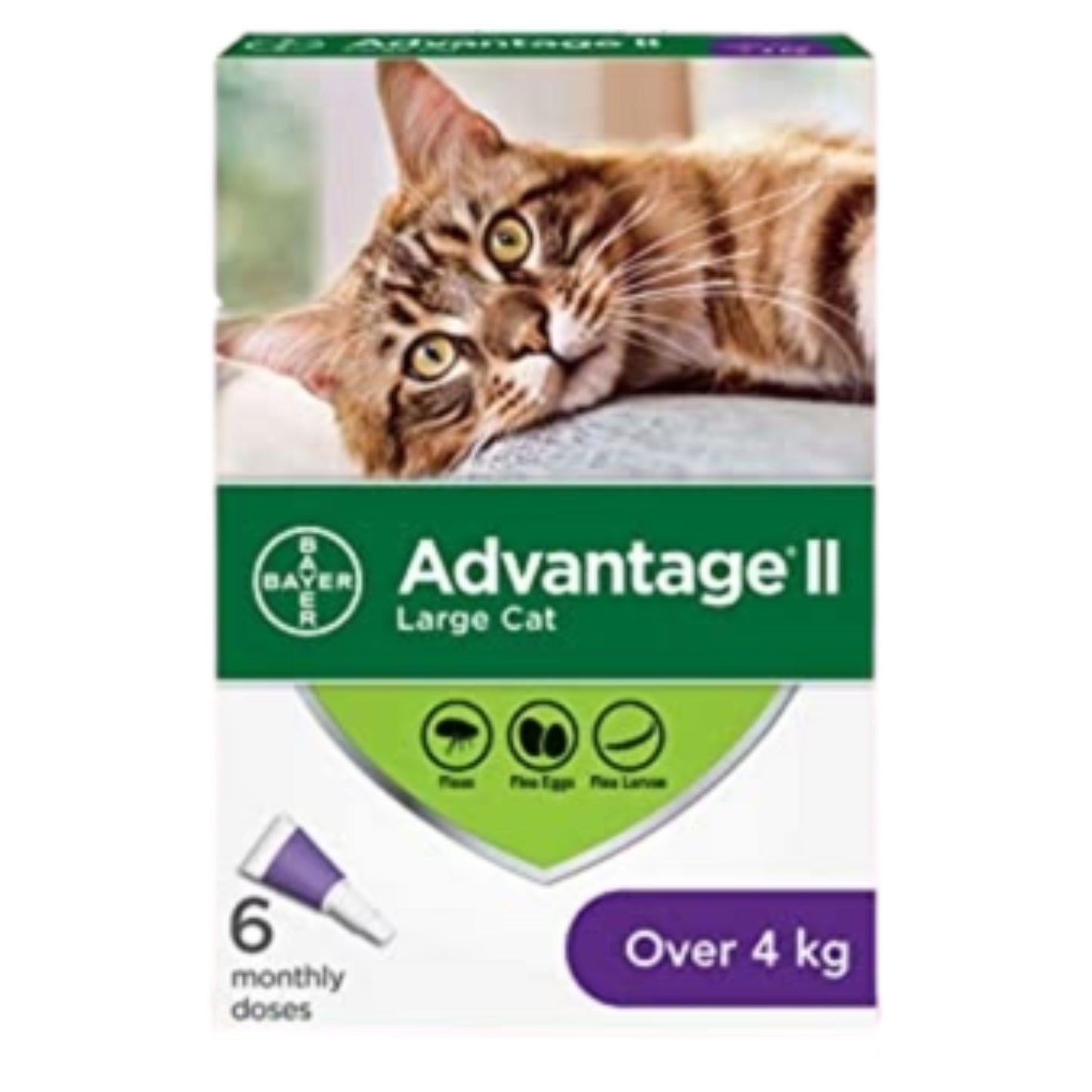 ADVANTAGE II | Traitement anti-puces pour chat / Plus de 4 kg