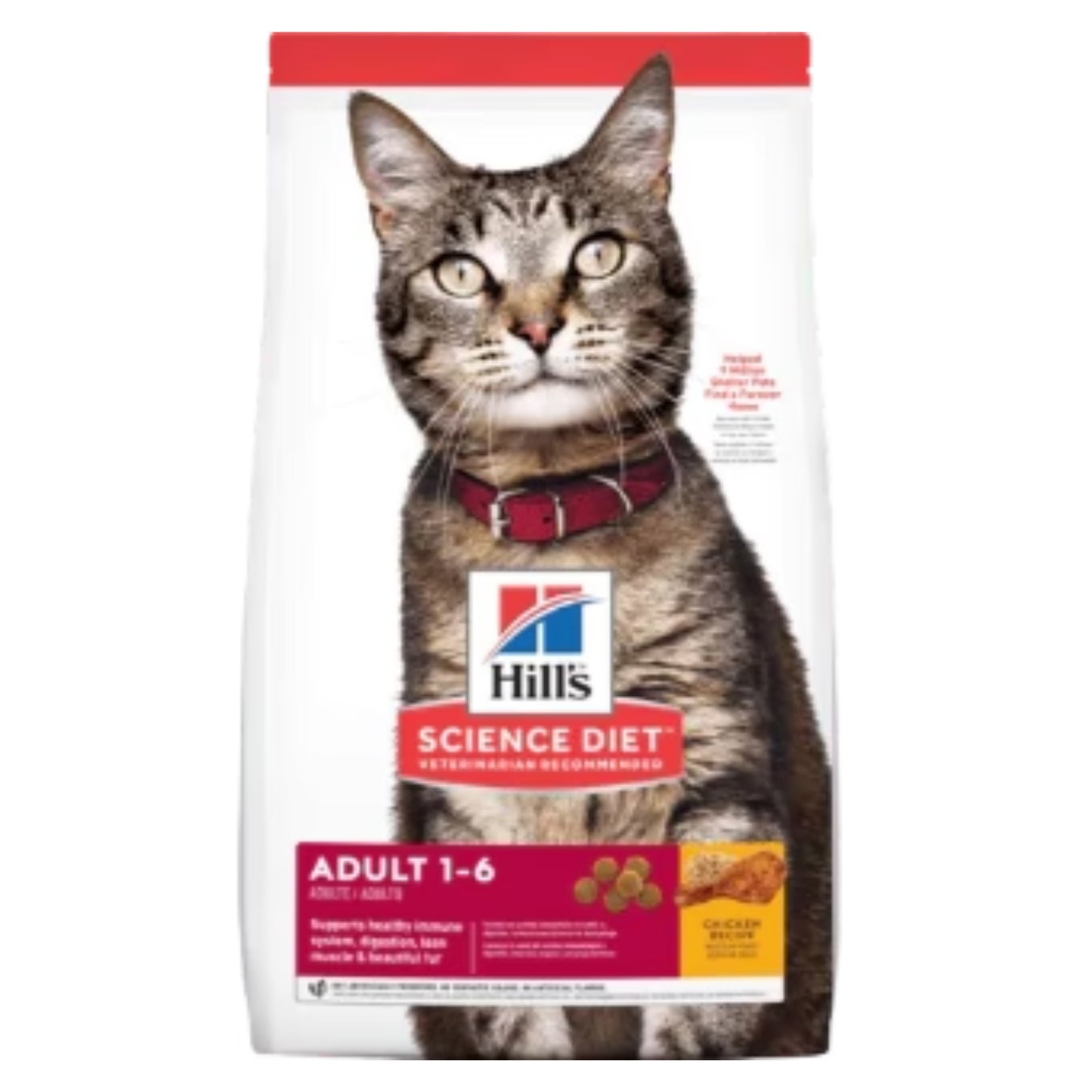SCIENCE DIET | Nourriture pour chat adulte - Poulet