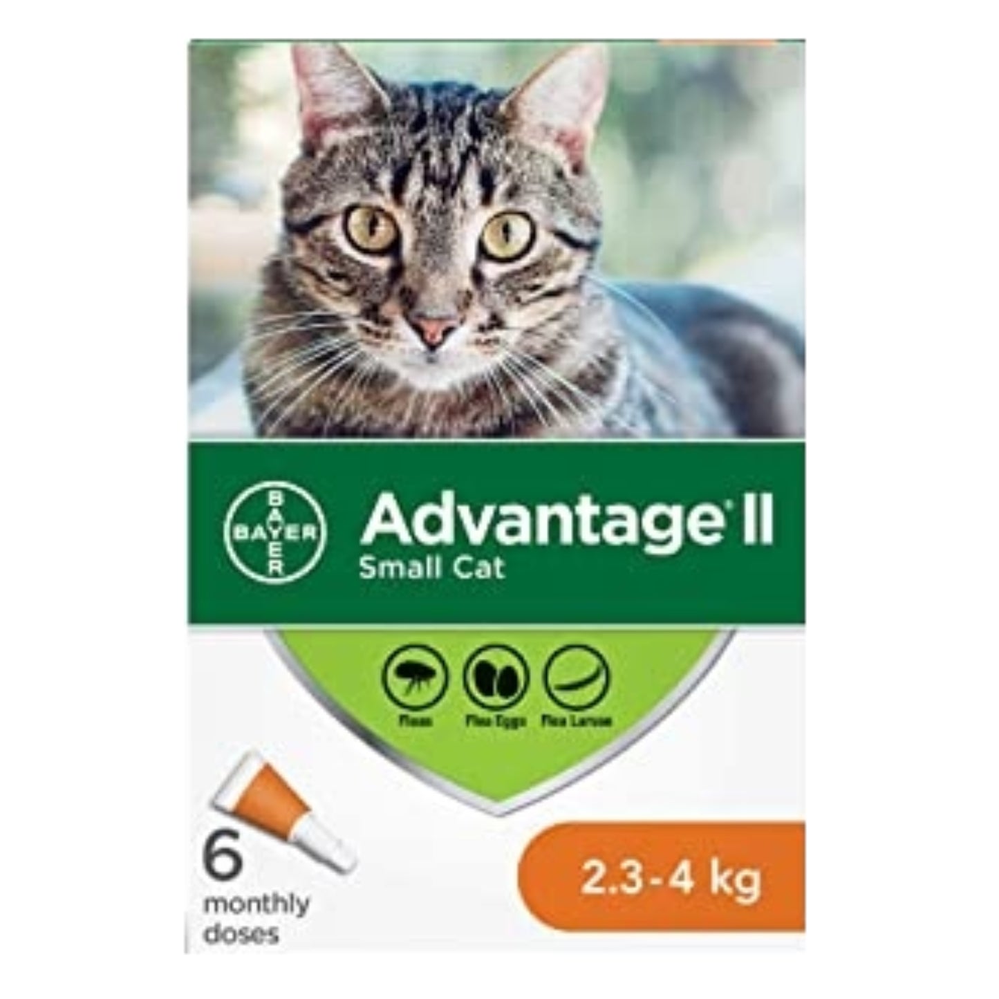 ADVANTAGE II | Traitement anti-puces pour chat / 2,3 à 4 kg