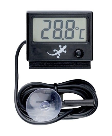Thermomètre numérique