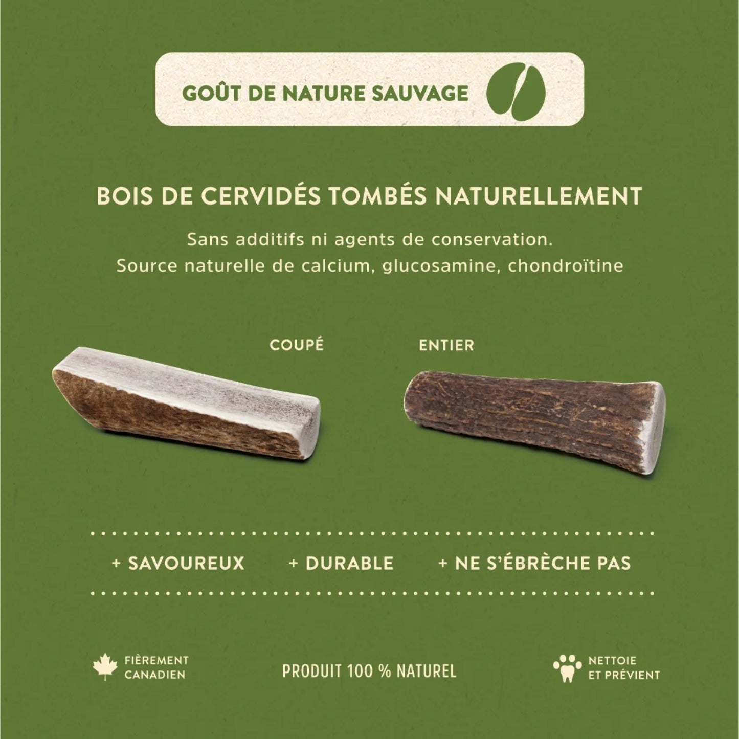 Bois de Cervidé Naturel - Entier