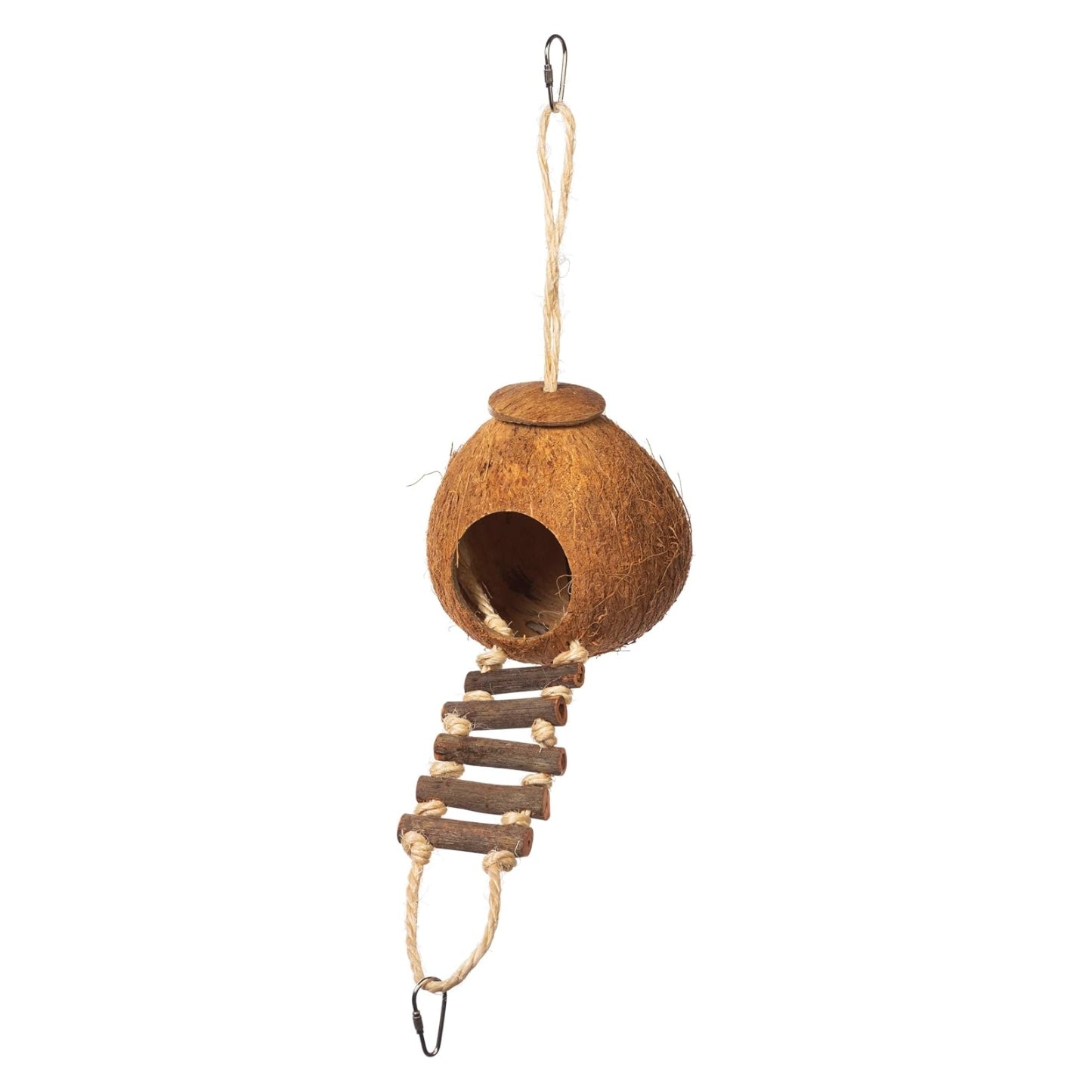 Noix de coco avec échelle pour oiseau et petits animaux