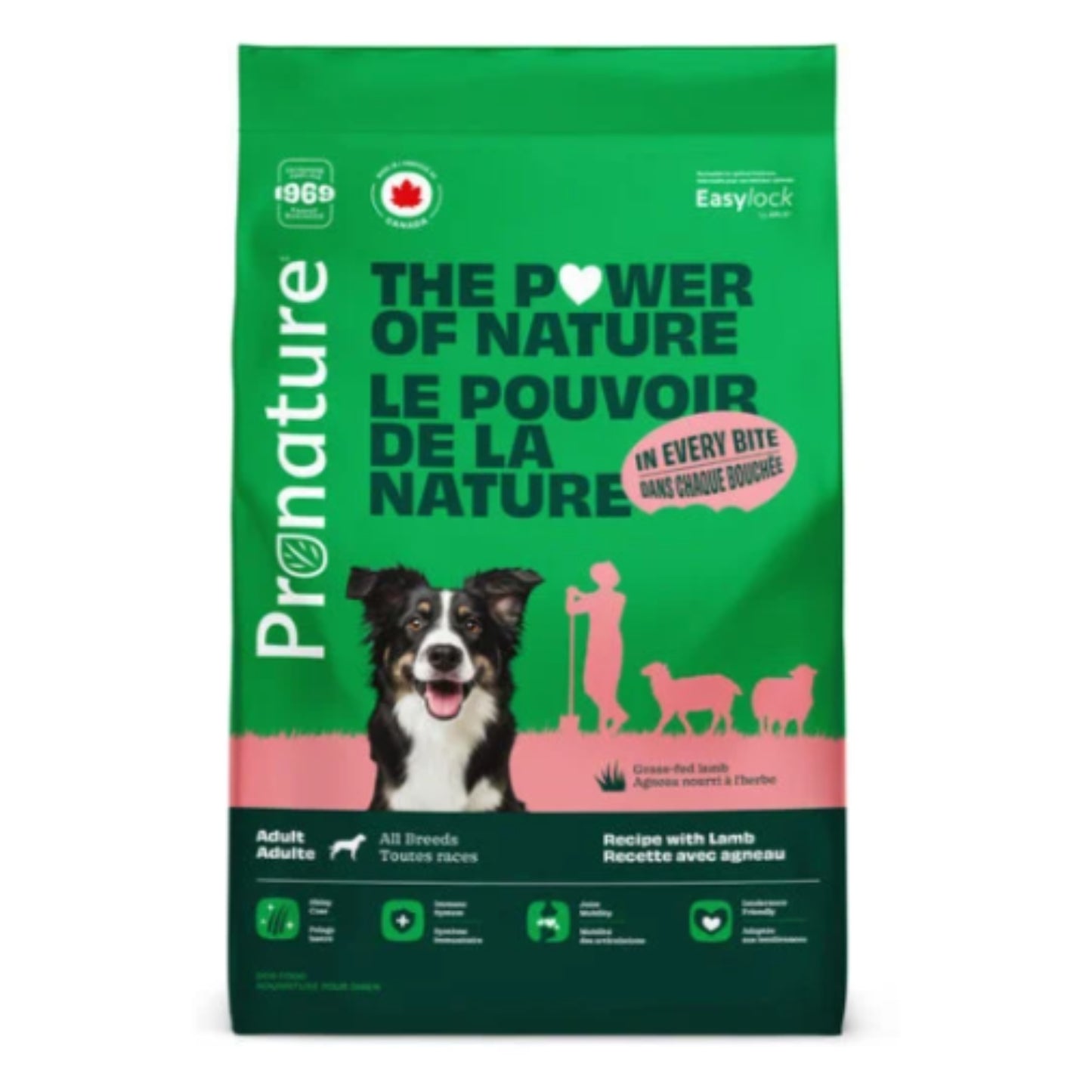 Nourriture pour chien - Toutes races - Agneau, pois & orge 8.8lb