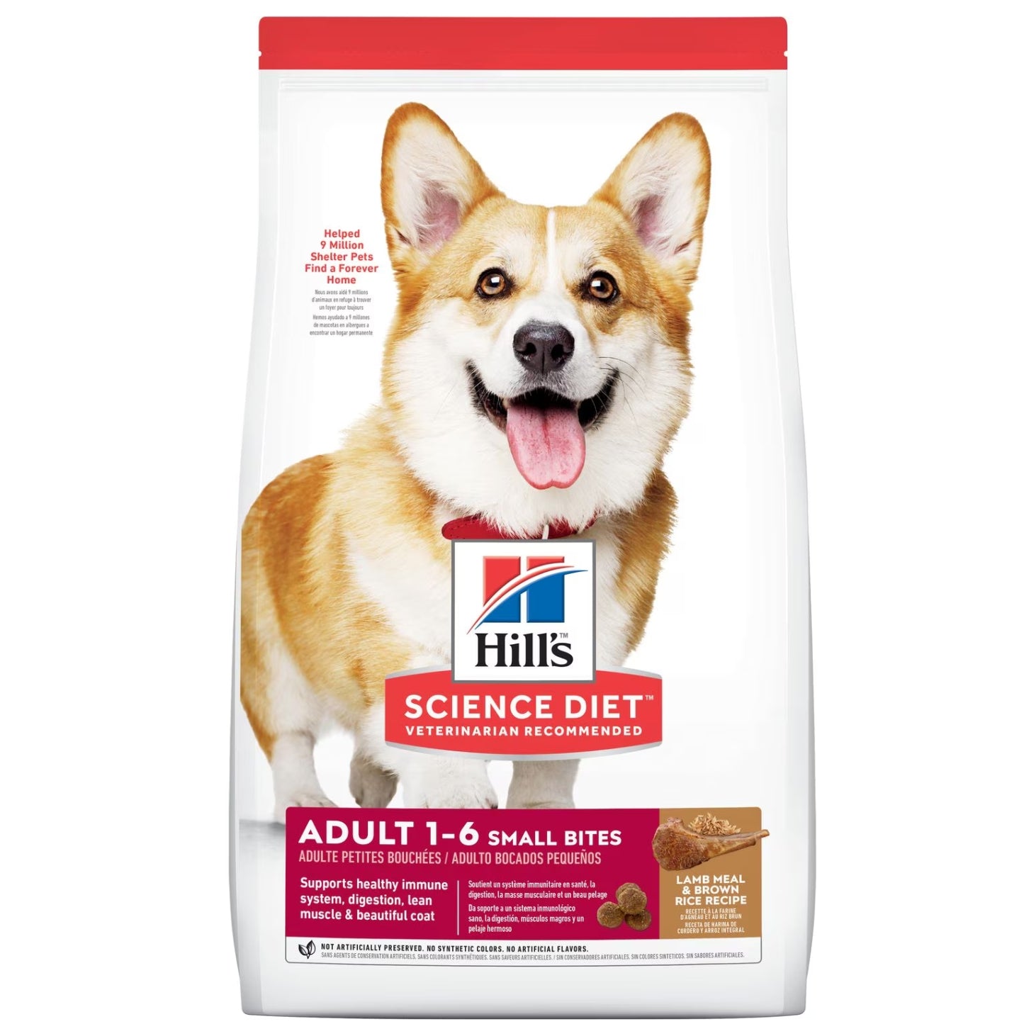 SCIENCE DIET | Nourriture pour chien adulte 1-6 - Petites bouchées - Agneau et riz / 5.68 Kg (13lbs)