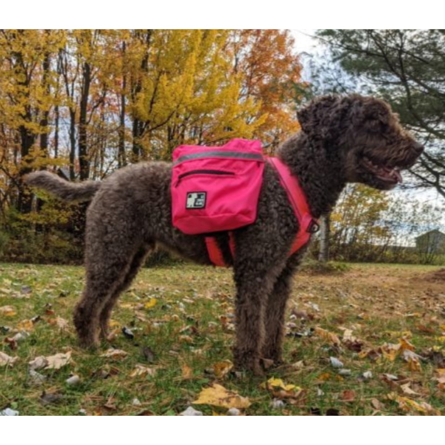 Sac à dos expédition / Rose