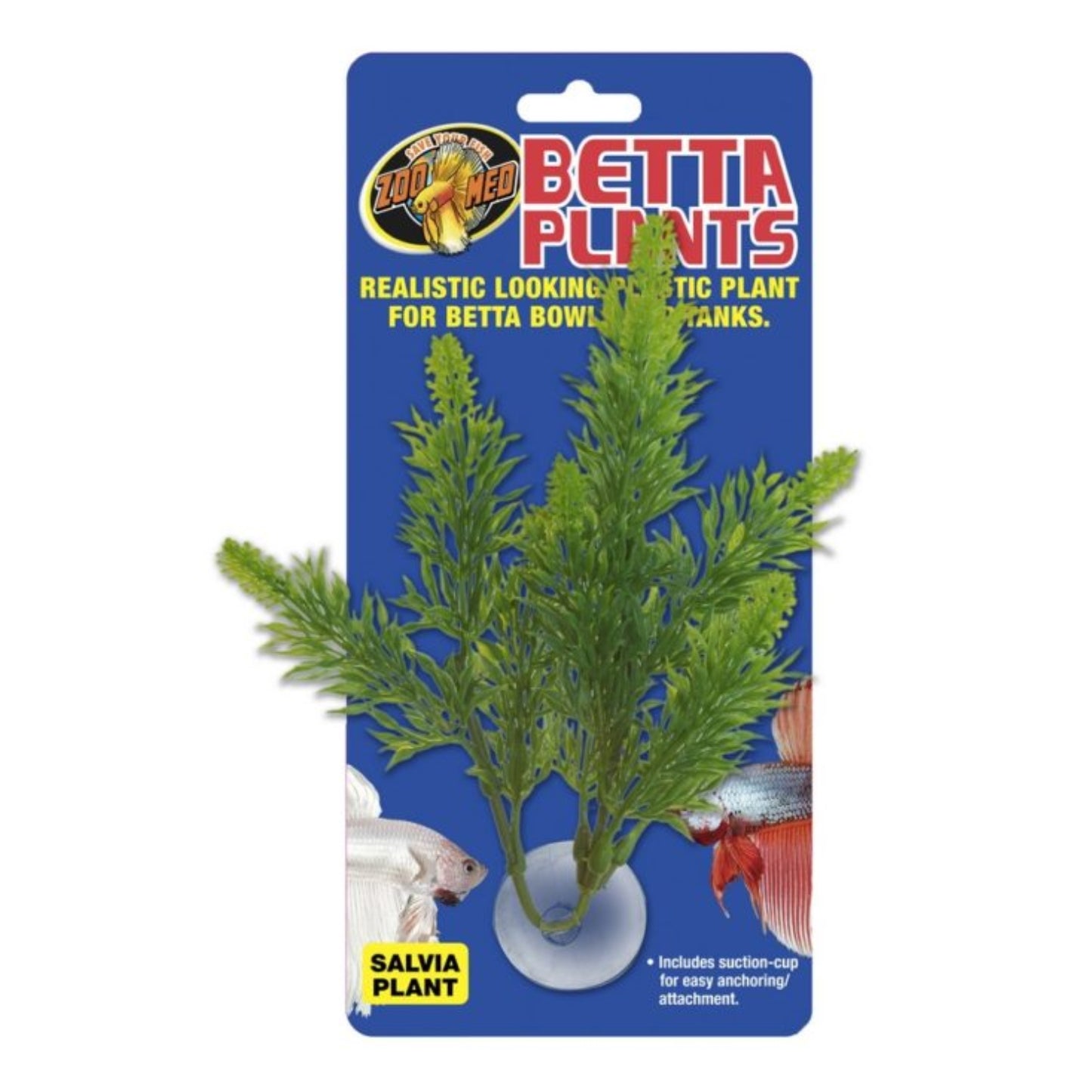 Décoration pour betta - Plante saliva