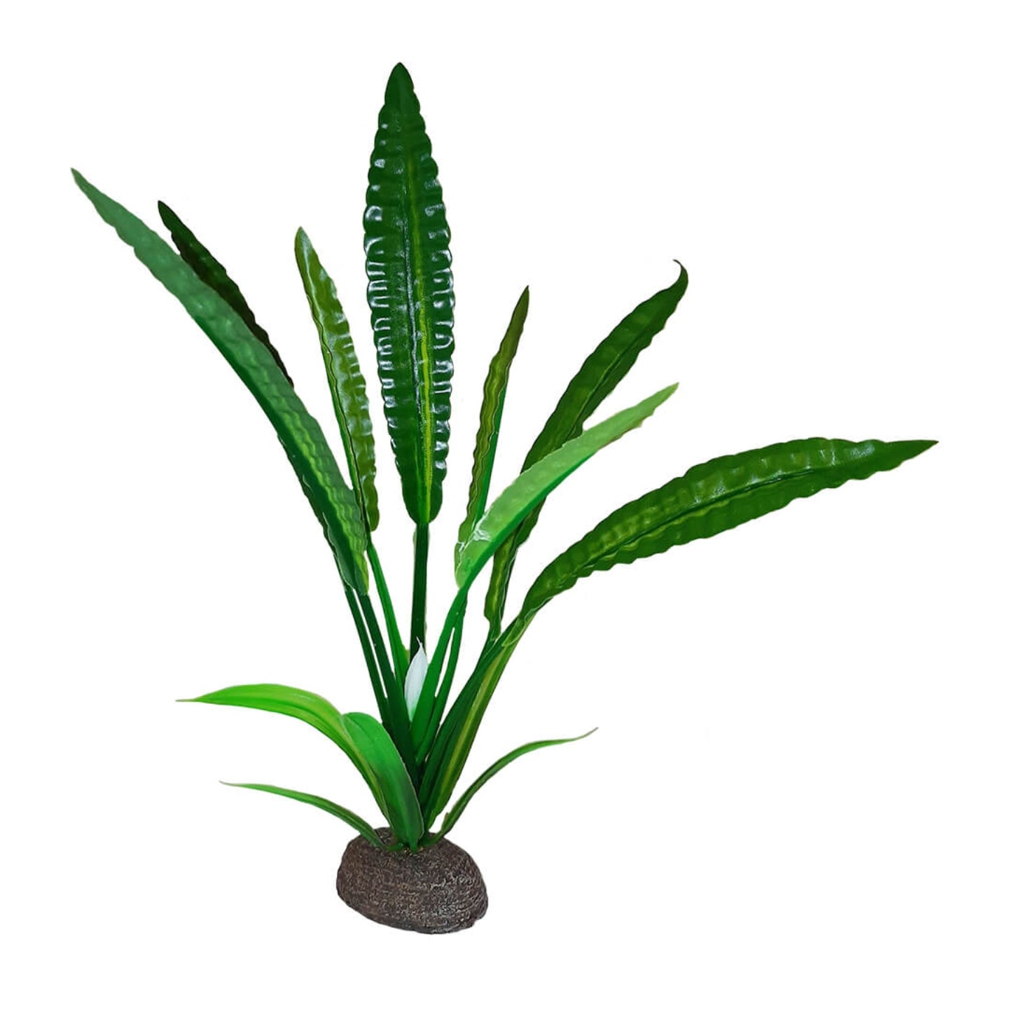 Décoration pour betta - Trompette d'eau - 8''/ 20cm