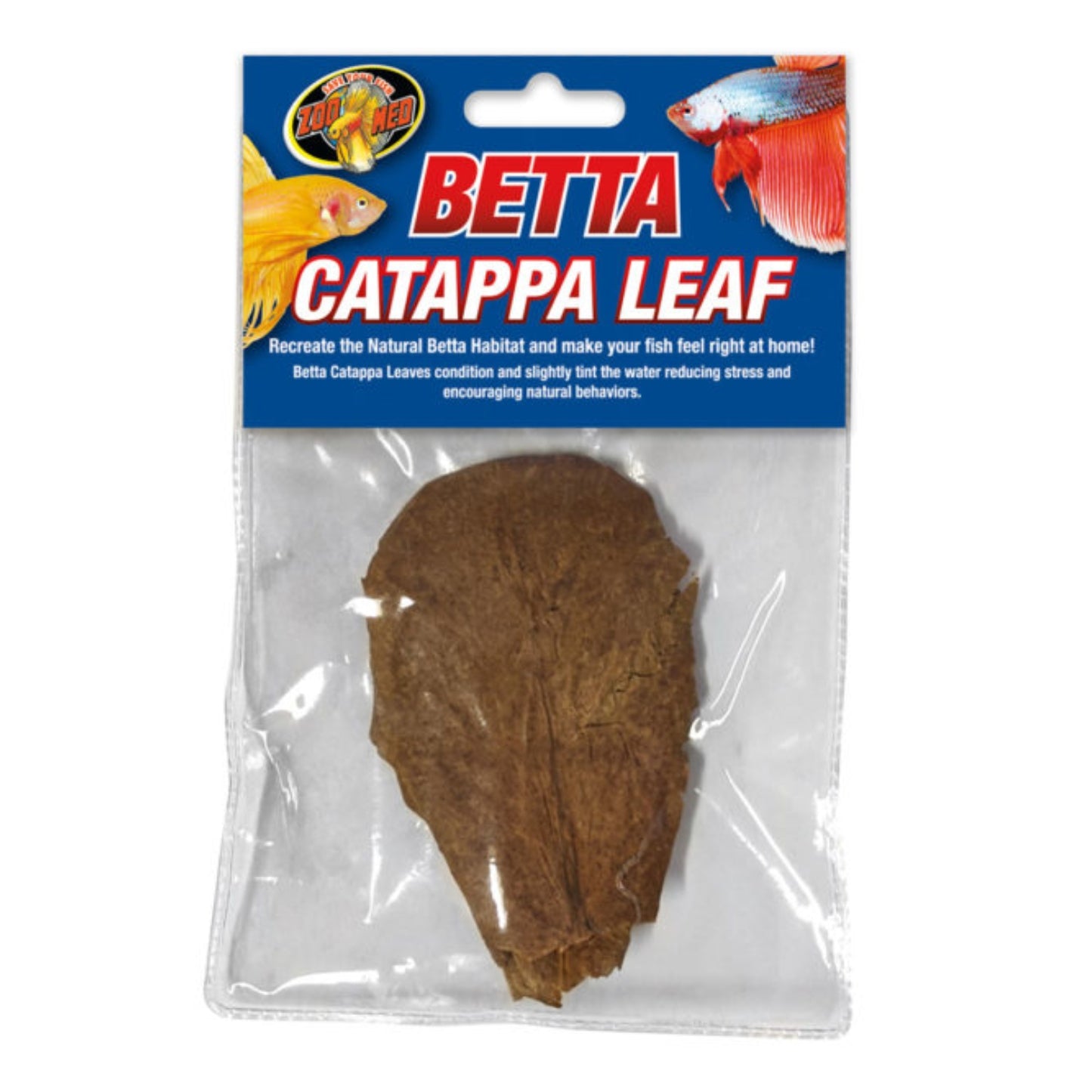 Feuilles de catappa pour betta