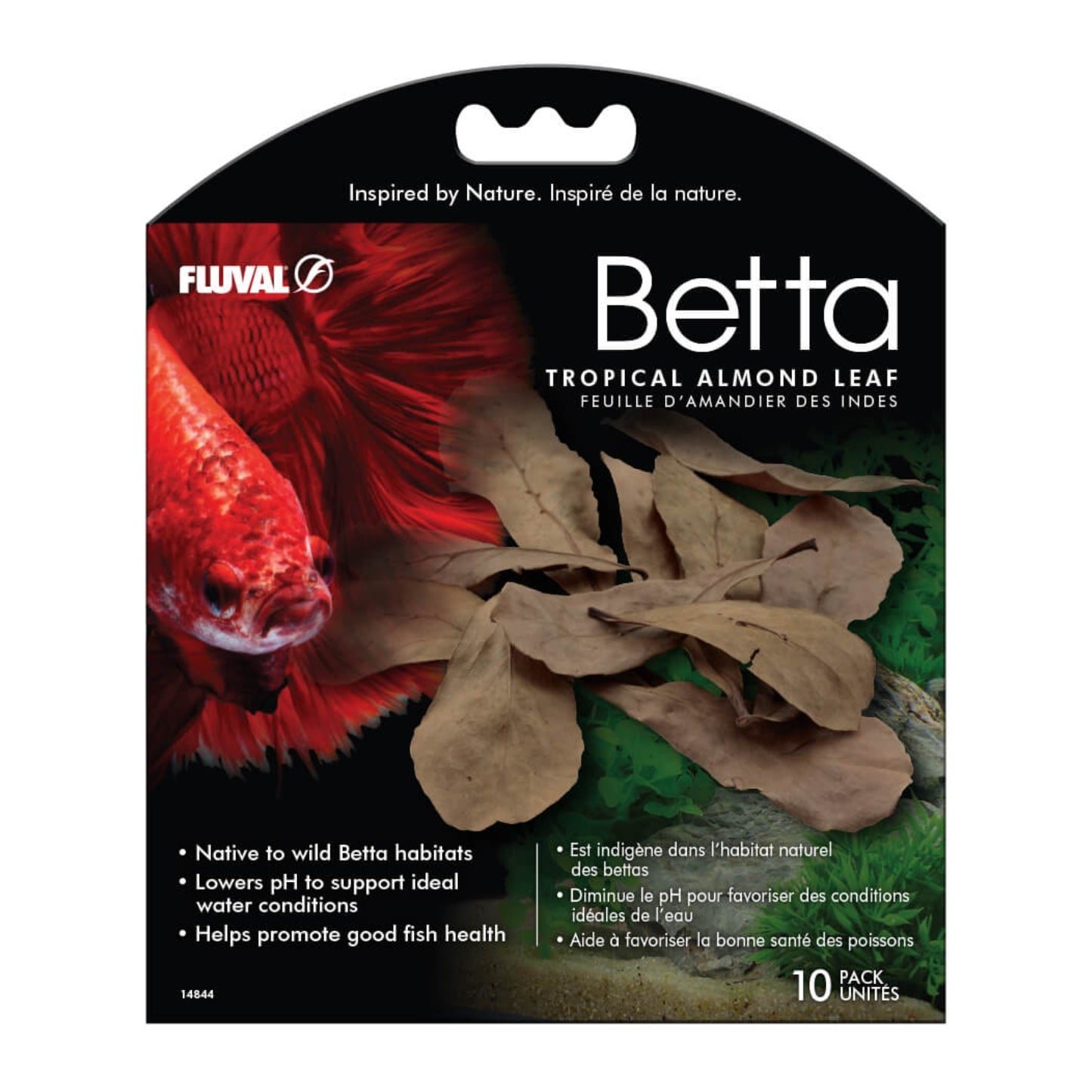 Feuille d'amandier pour betta - 10 unités