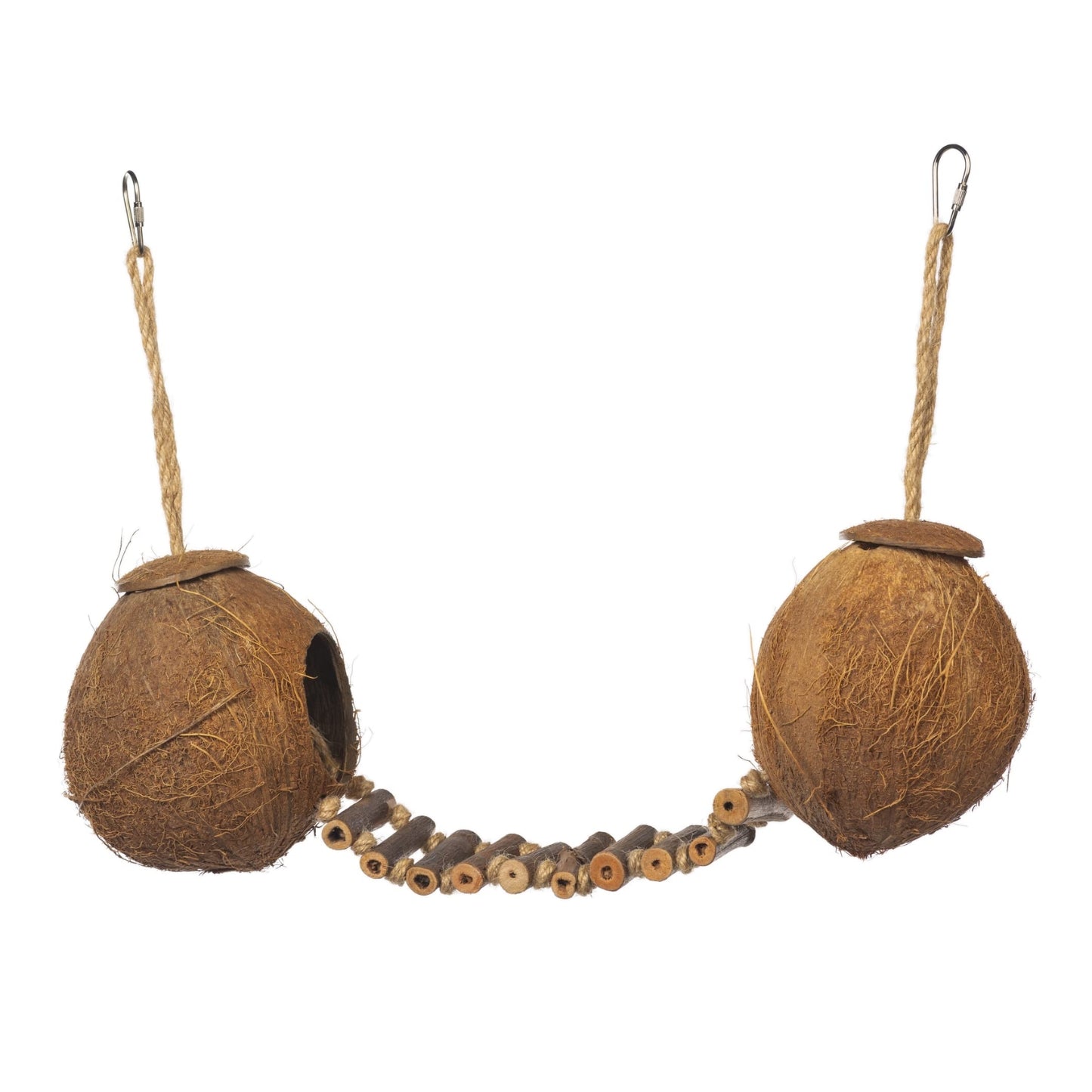 Noix de coco avec échelle pour oiseau et petits animaux